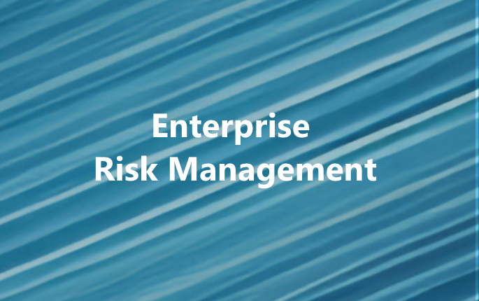 Enterprise Risk Management