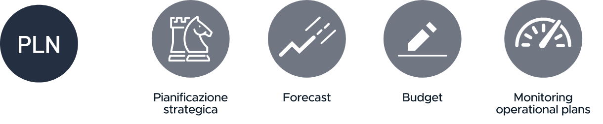 Plan, Budget & Forecast